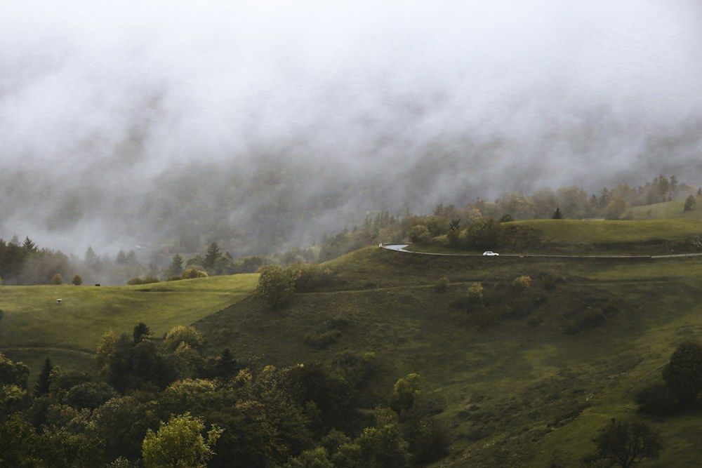 A winding mountain road threads through verdant hills shrouded in dense fog, creating a tranquil and mysterious landscape.