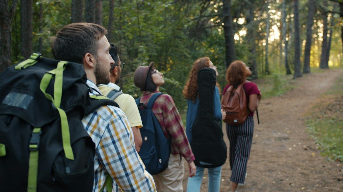 Friends exploring a forest path