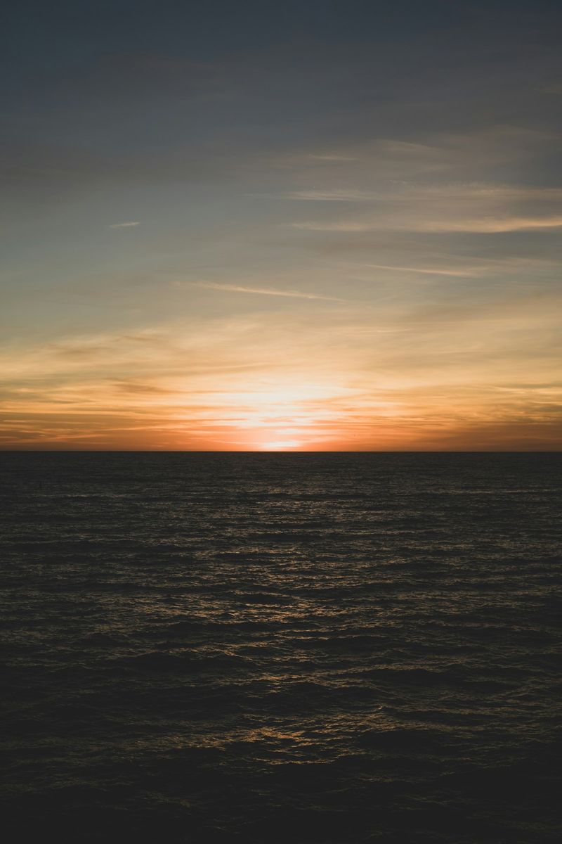 photo of beach during sunset