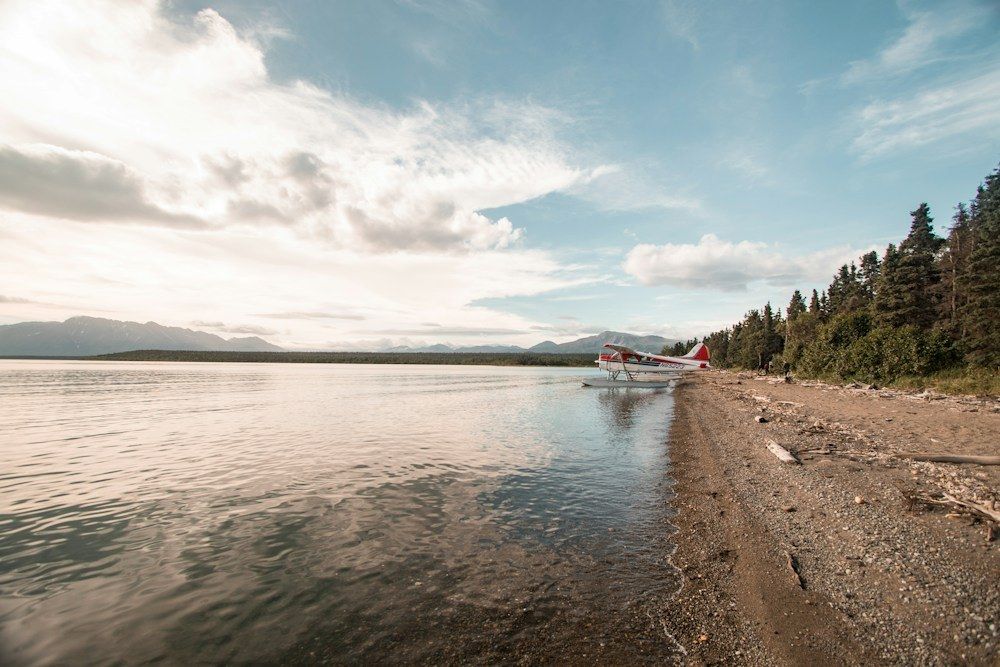 Floatplane parked on a wilderness shoreline
