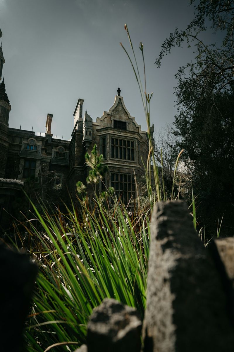 An old, weathered mansion seen through tall grass