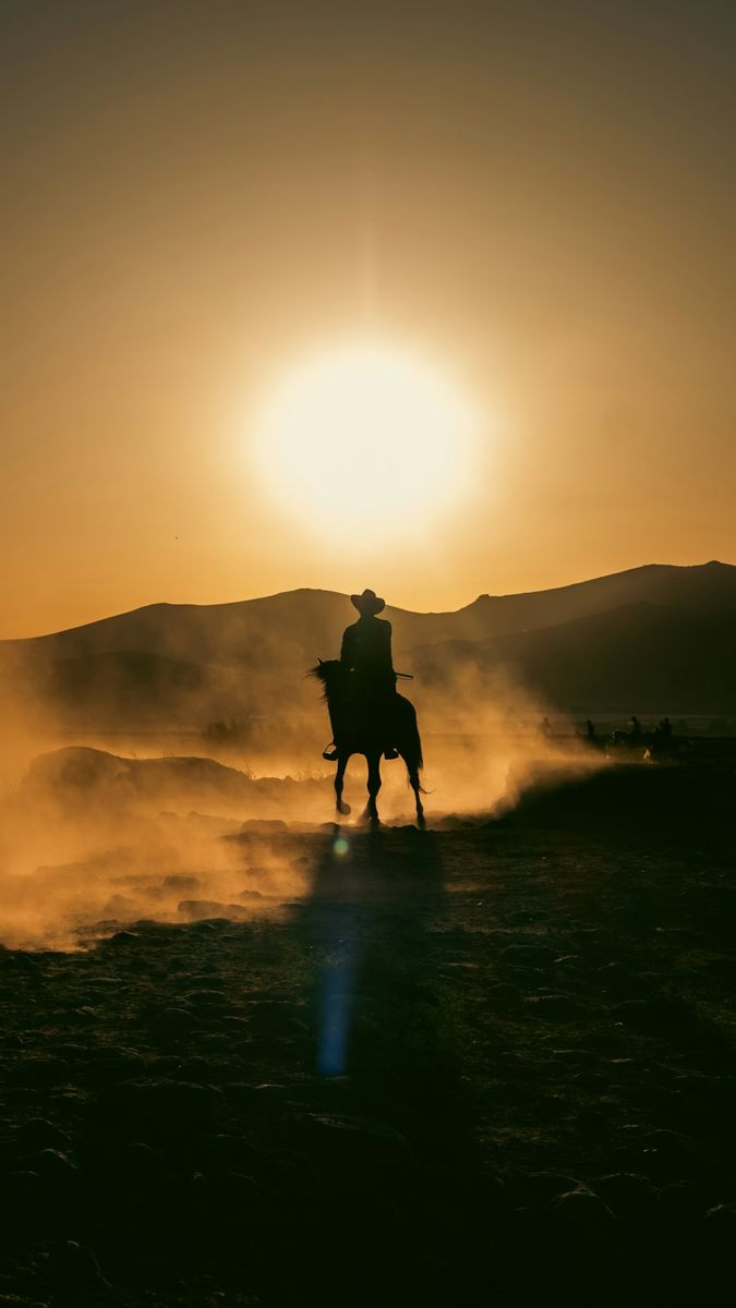 Horseback rider silhouetted at dusk