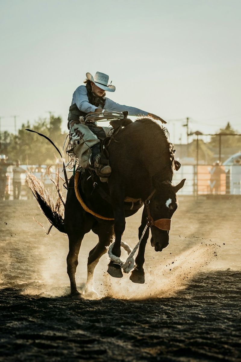 Rodeo cowboy riding a bucking horse
