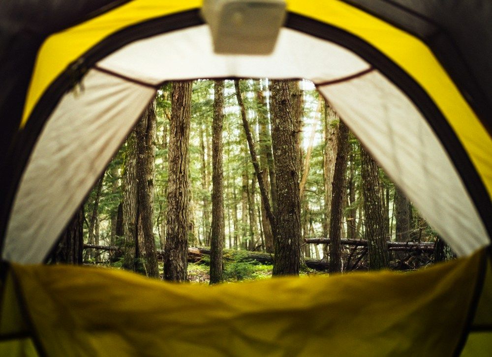 Yellow tent beside a Canadian waterway