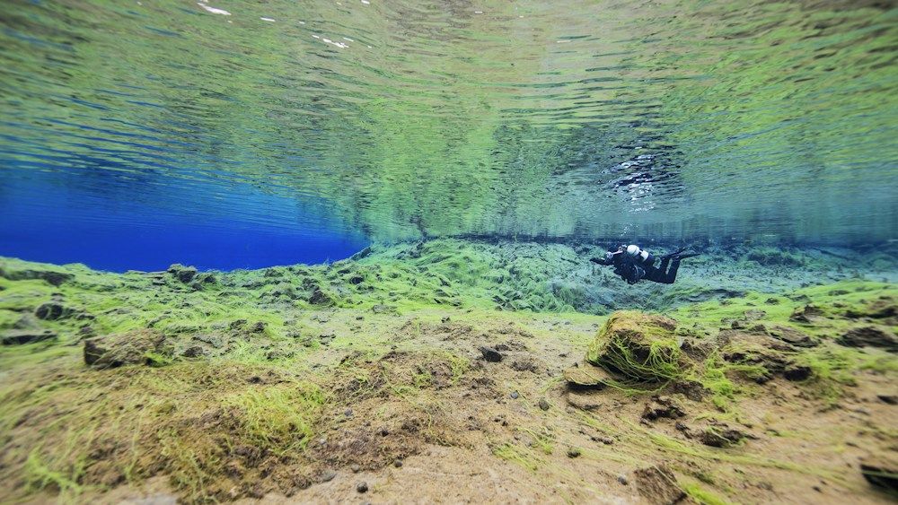 Clear underwater rocks and vegetation at Silfra in Iceland