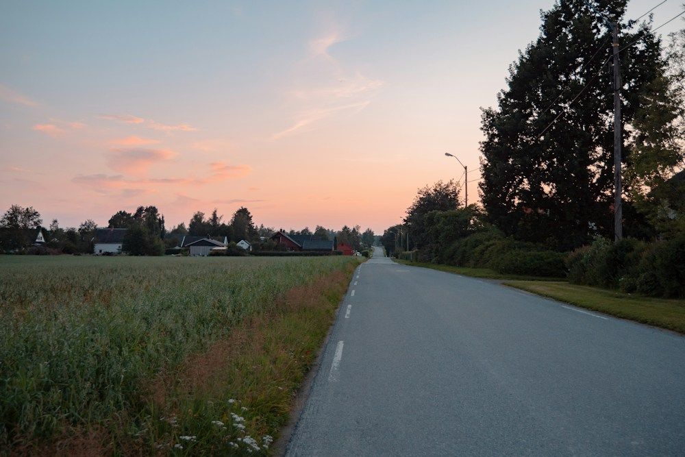 Rural Norwegian road in late evening summer light