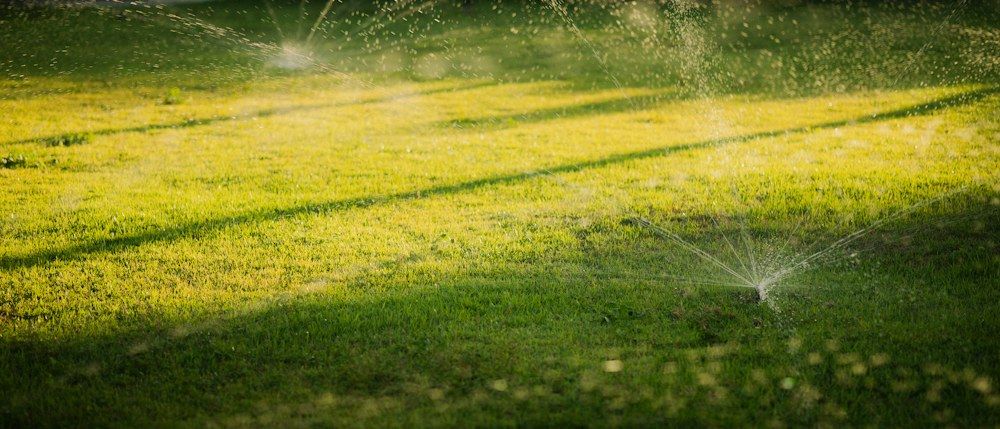 Sprinklers spraying water across a lawn at sunset