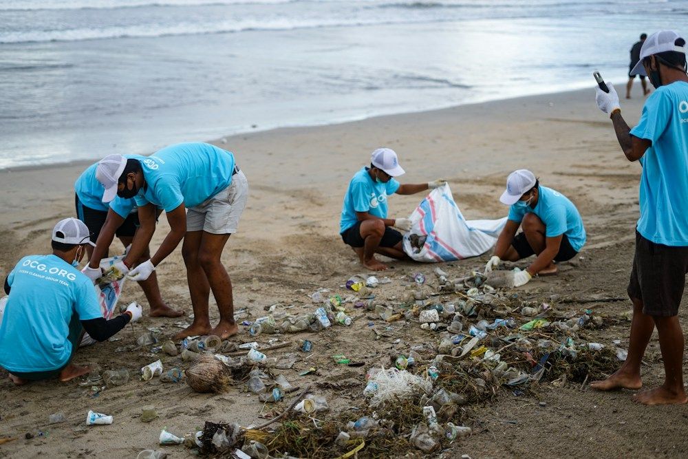 Volunteers collecting beach debris into bags