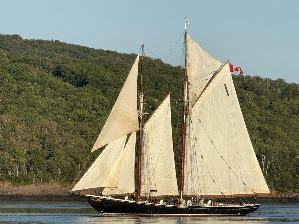 A schooner sails on calm water near a forested hill
