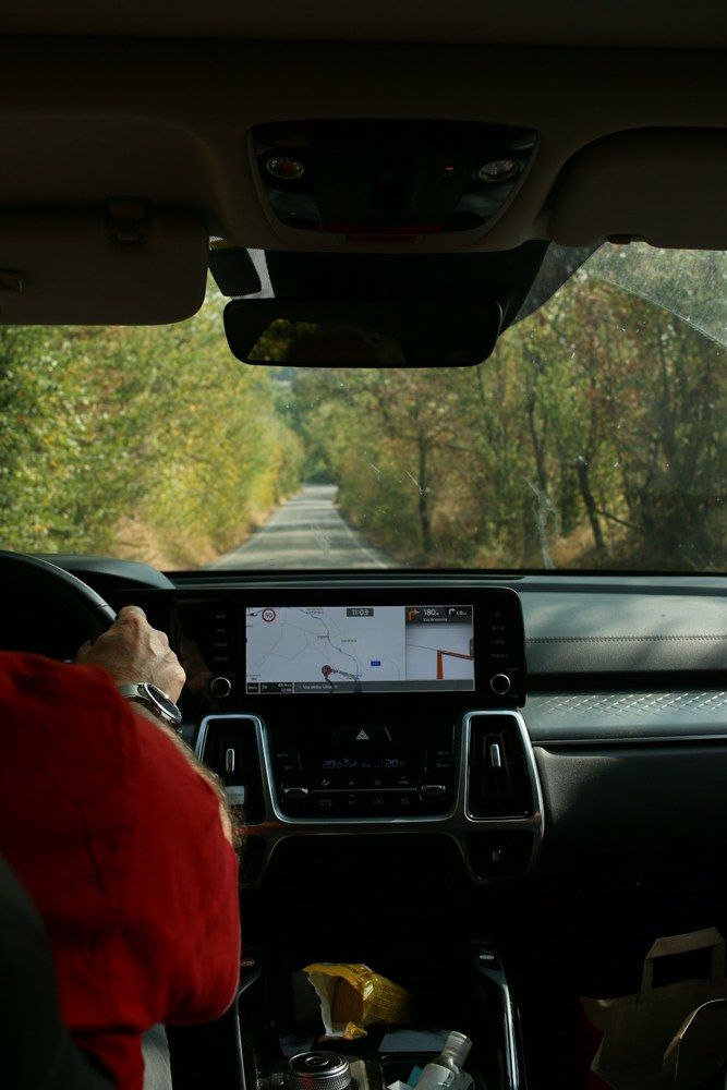 Car driver following navigation on a tree-lined road
