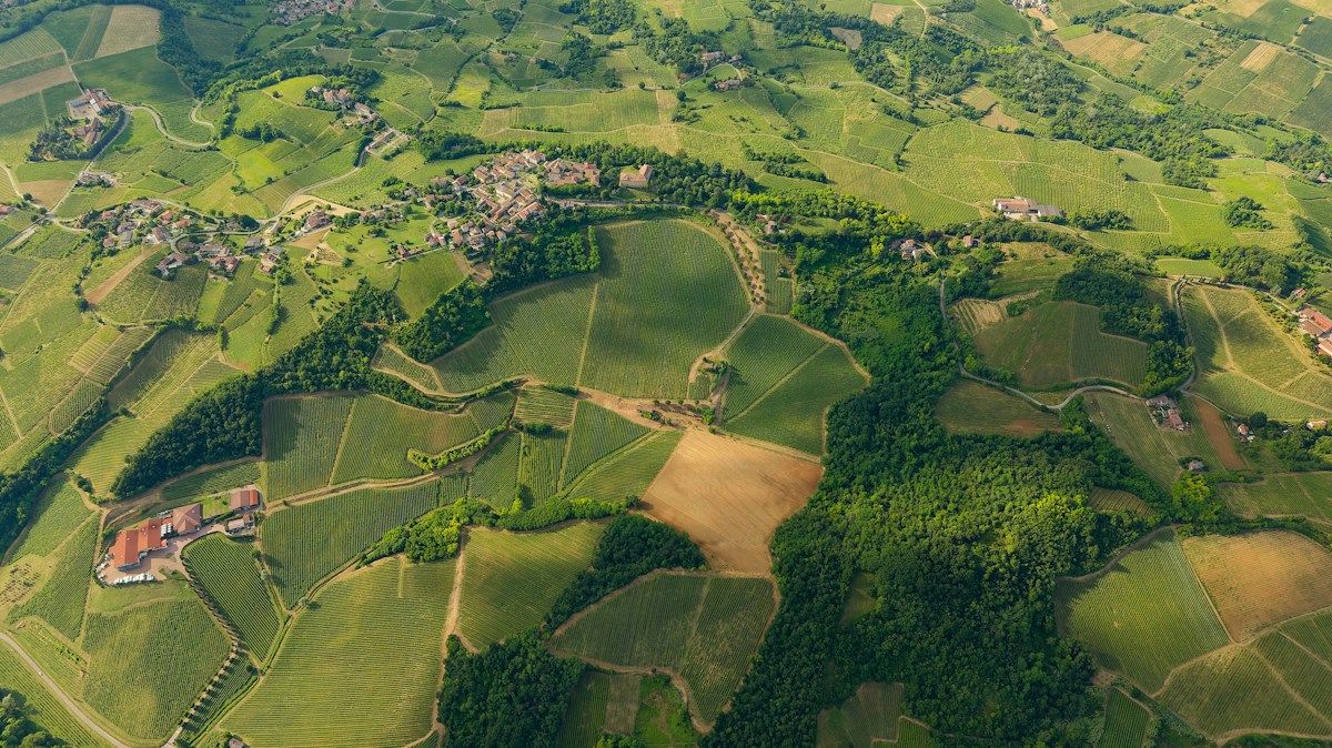 Aerial view over vineyards, forest, and a village
