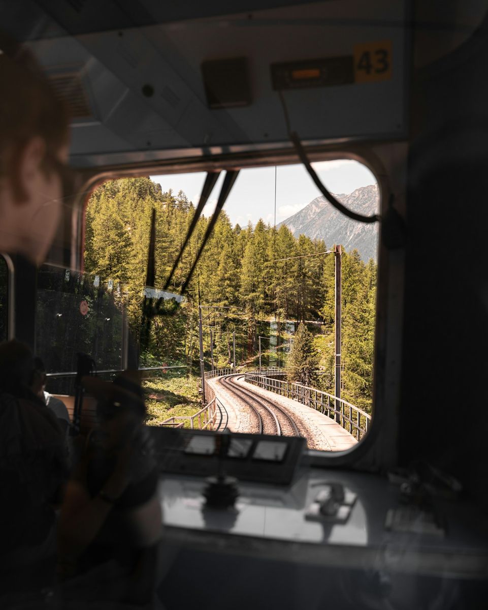 View from a train window across a forest bridge