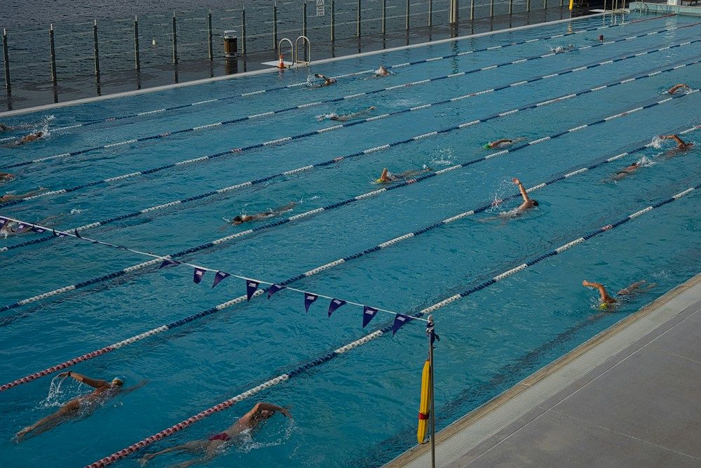 Athletes practicing freestyle in pool lanes
