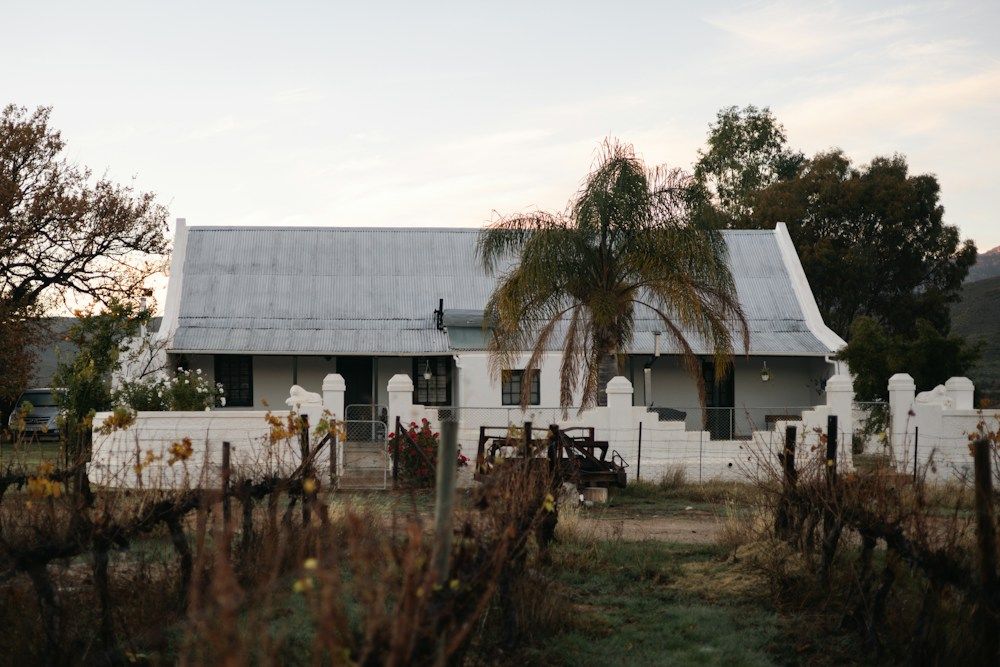 A white cottage sits near a vineyard