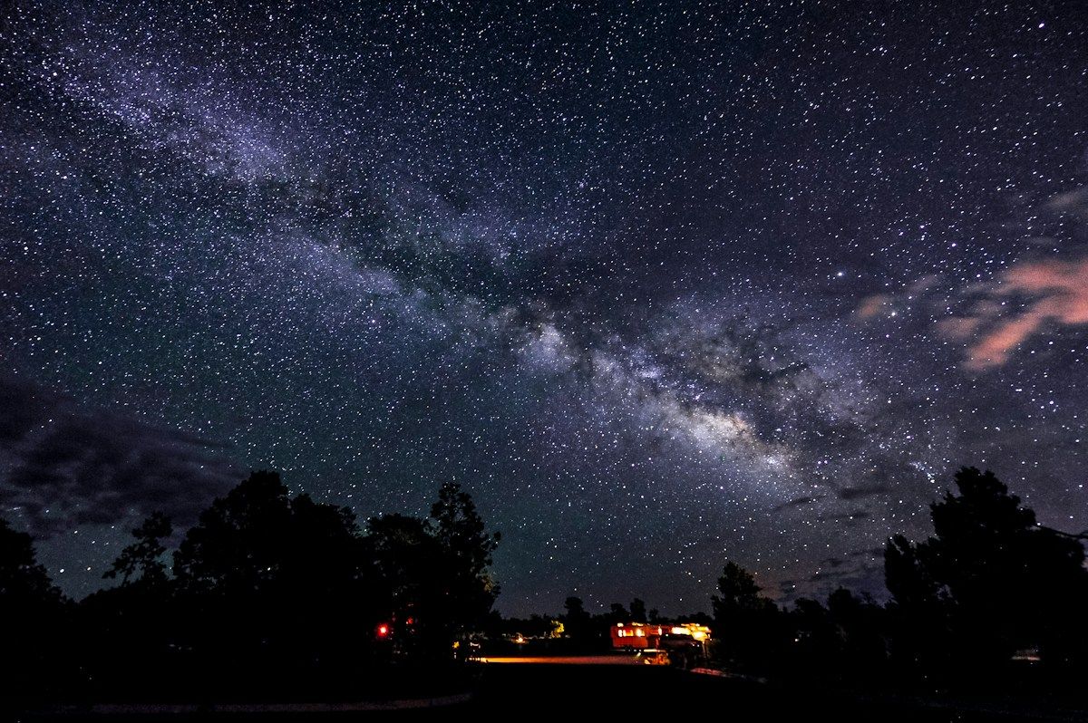 Milky Way above dark forest silhouettes