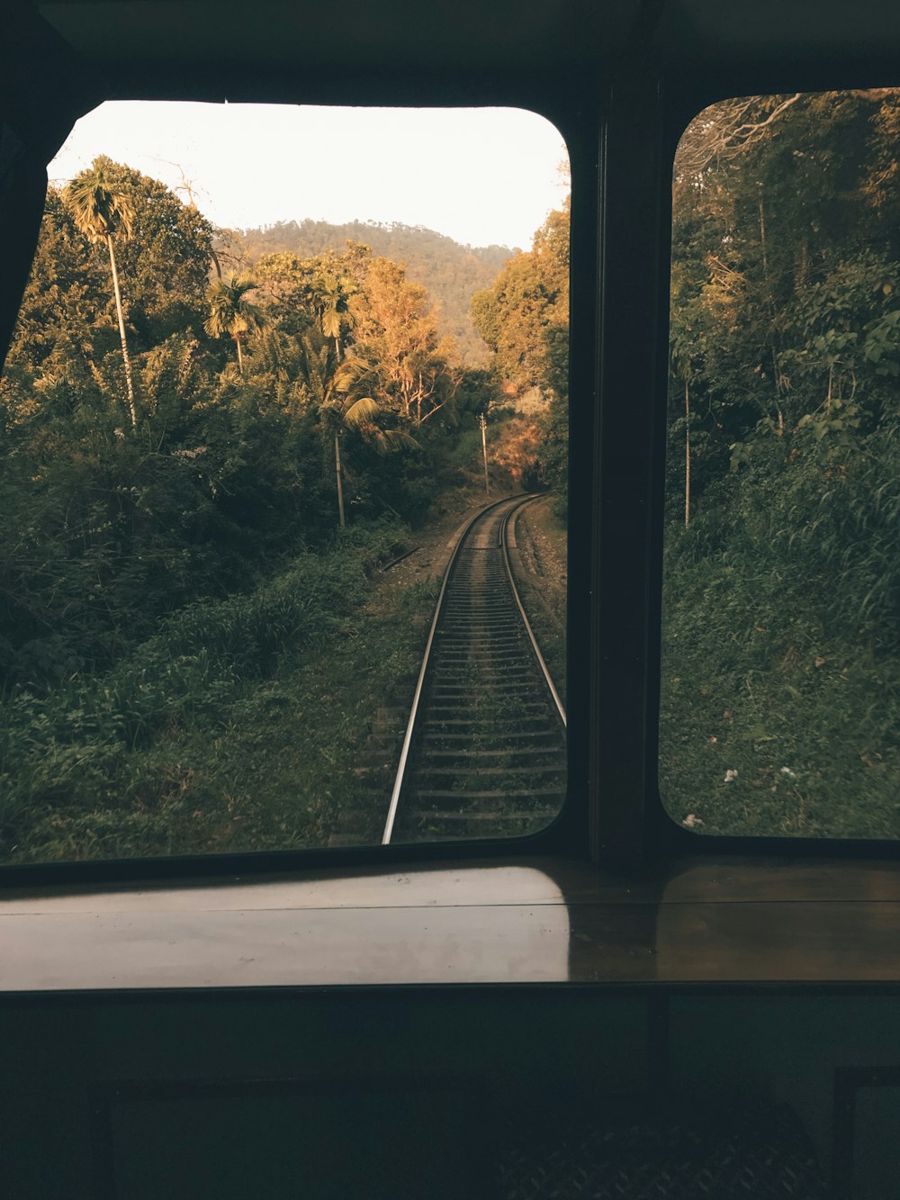 A verdant valley stretches out beyond the framed view of a train window, where steel tracks curve gently into dense forest.