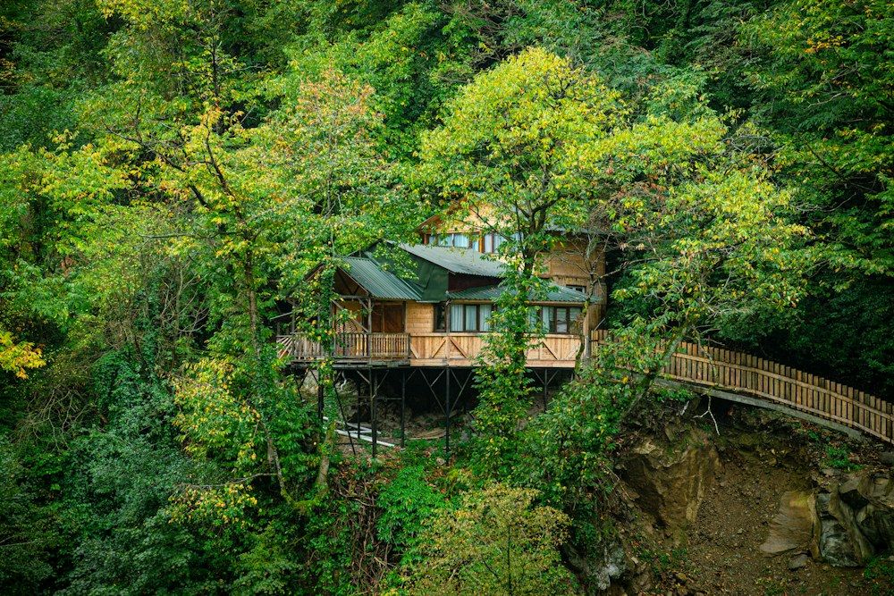Treehouse nestled in lush green forest on a cliff.